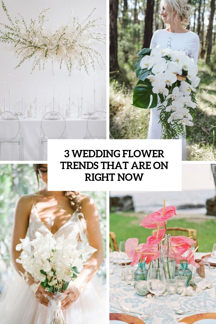3 wedding flower trends that are on right now cover