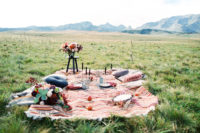 a wedding picnic is a great idea for a photo shoot