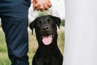 24 incorporate your pet into your wedding pics like that – holding hands and your dod sitting by your side