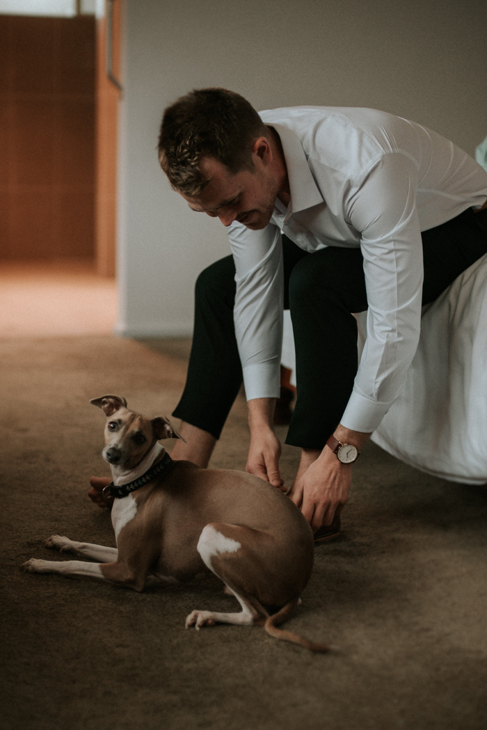 The couple's dog took part in the wedding