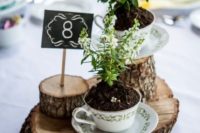 06 a rustic wedding centerpiece with wood slices, teacups with planted blooms, a table number