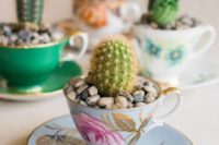 19 vintage teacups with cacti and pebbles on top are chic and cute wedding favors, cool for a desert wedding