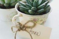 21 vintage teacups with succulents, cards and twine are new classics – a fresh idea of a wedding favor