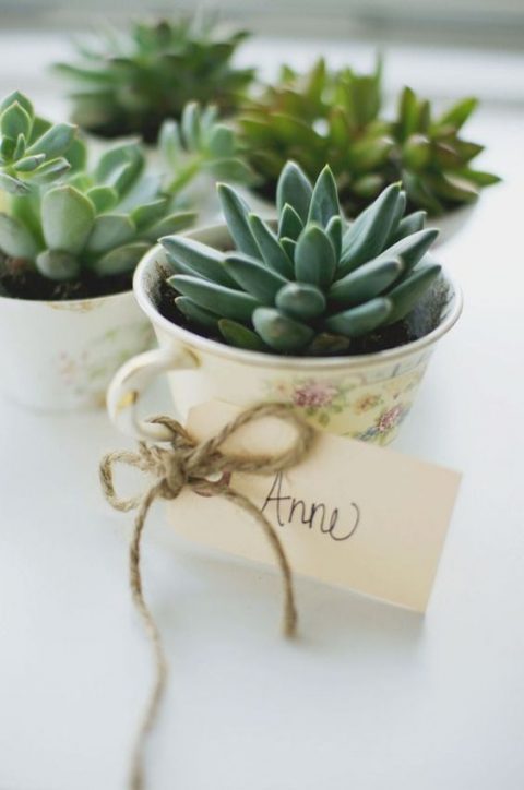 vintage teacups with succulents, cards and twine are new classics – a fresh idea of a wedding favor