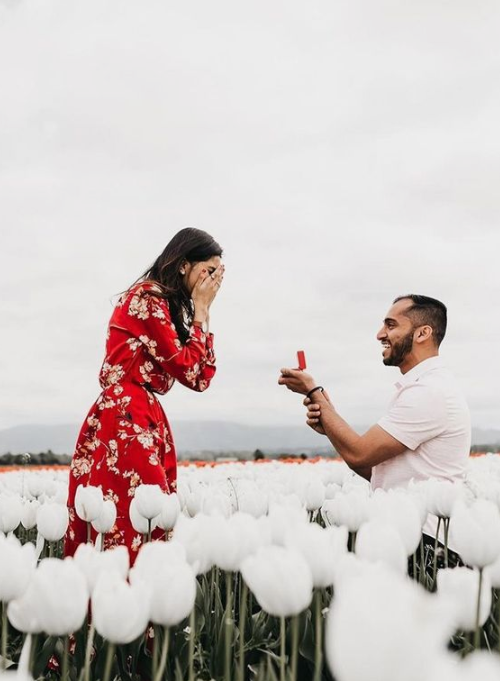 a great place to pop the question - a white tulip field, it's very romantic, eco-friendly and very cool