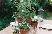 05 create a simple wedding centerpiece of potted flowers that can be used afterwards, too