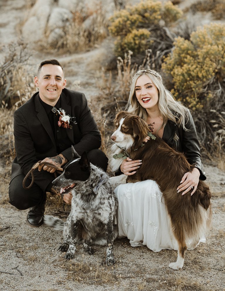 The couple's dogs took part in the wedding as a flower girl and a ring bearer
