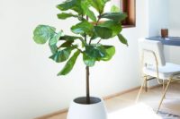 04 a faux fiddle leaf fig plant like this one will add an outdoorsy feel to your pics for sure