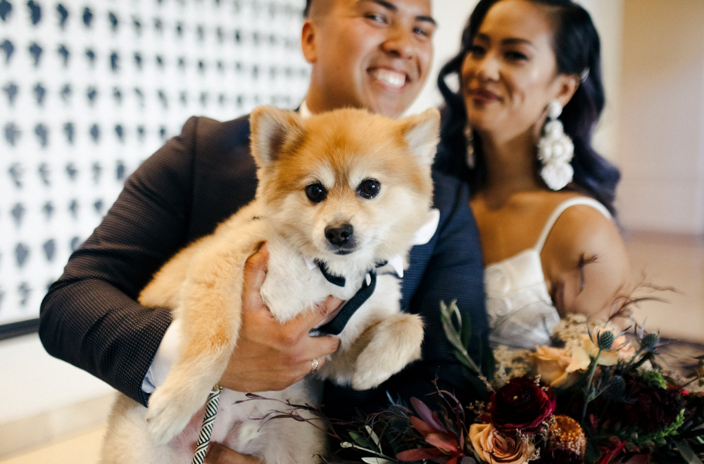 The couple's dog took an active part in the wedding