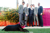 06 The groomsmen were wearign grey suits and the couple’s pup took part in the wedding, too