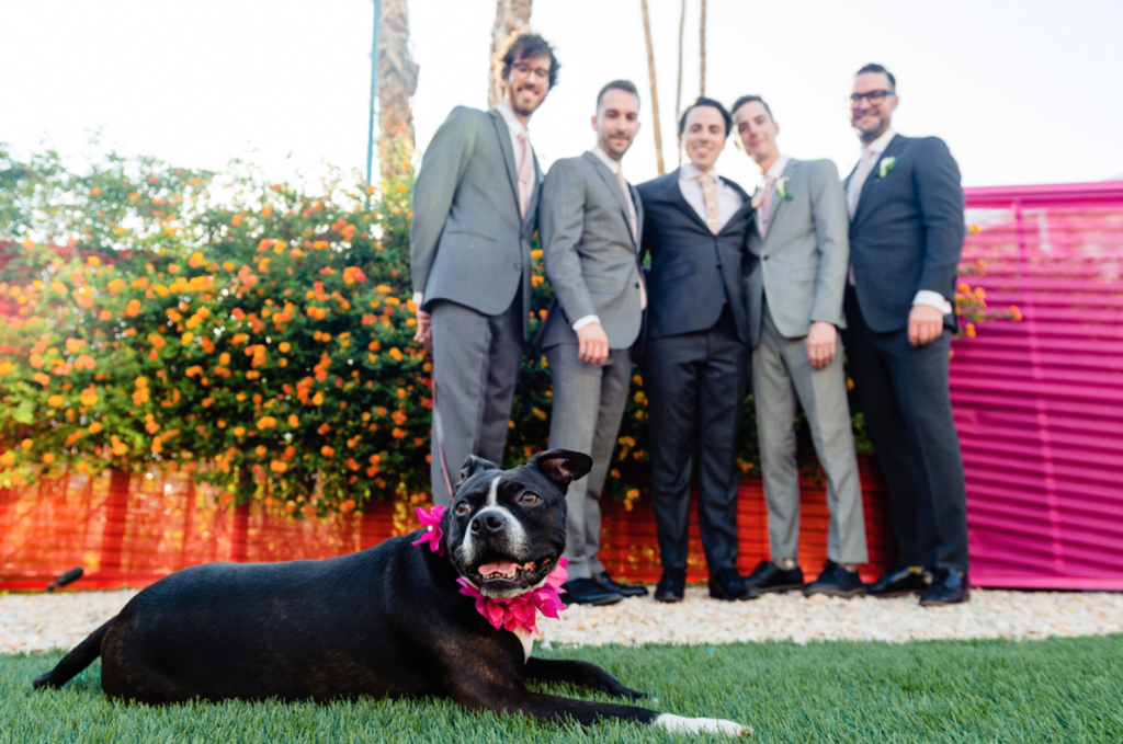 The groomsmen were wearign grey suits and the couple's pup took part in the wedding, too