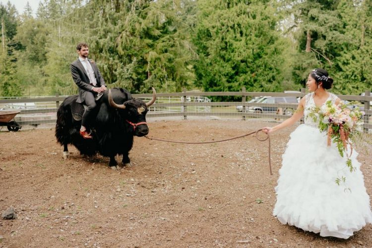 The couple were riding yaks that are symbolic for Chinese culture