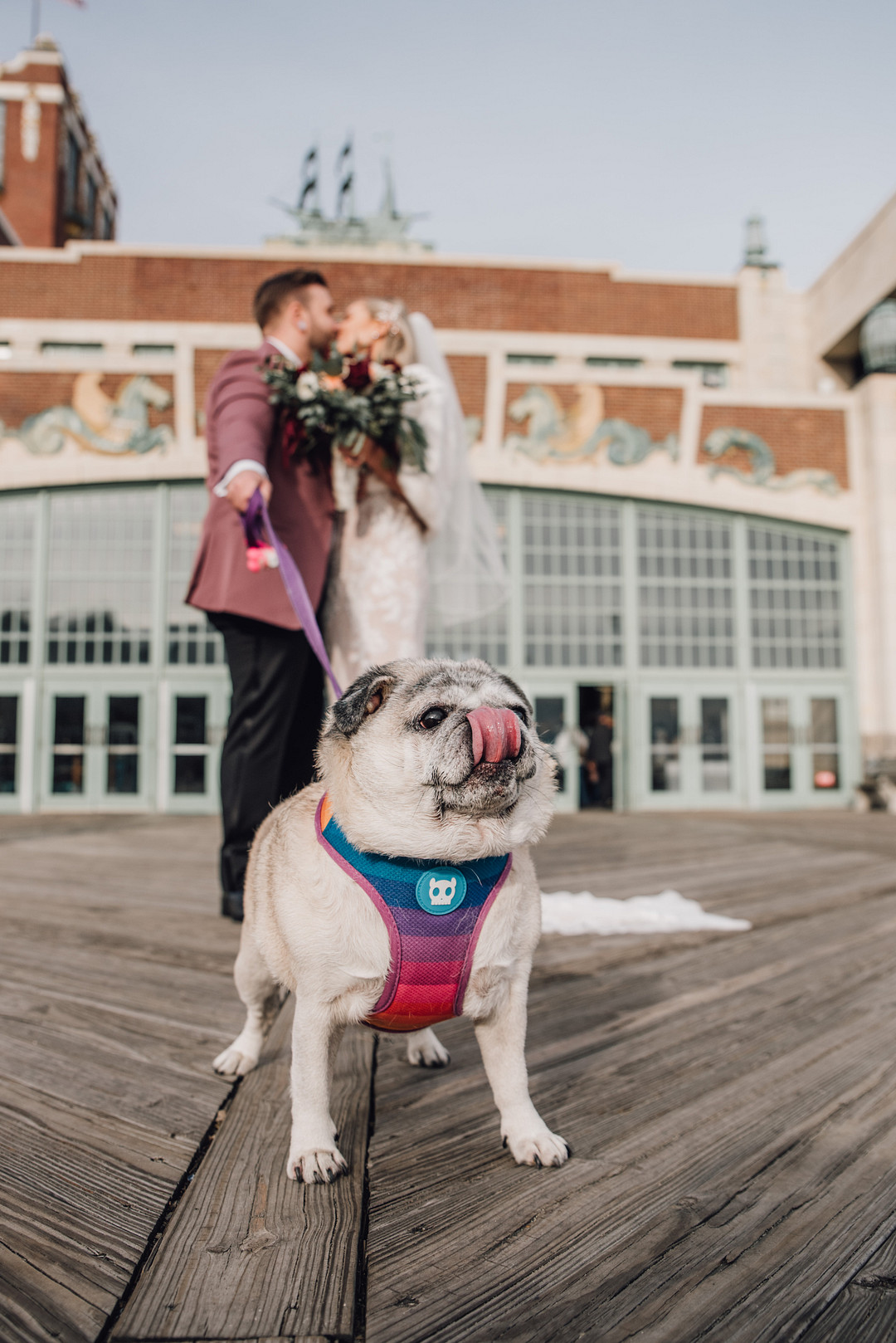 The couple's dog took part in the wedding, he was dressed in a funny colorful piece
