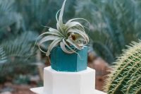 a catchy geometric wedding cake with a teal and white hexagon tier and an air plant on top for a mid-century modern or boho wedding