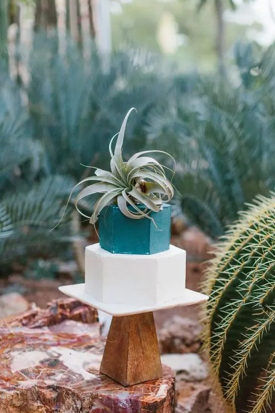 A catchy geometric wedding cake with a teal and white hexagon tier and an air plant on top for a mid century modern or boho wedding