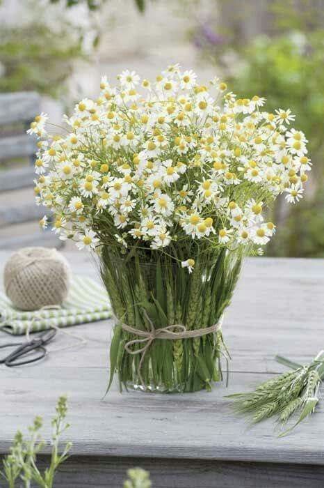 a rustic wedding arrangement with daisies in a vase and wheat covering the vase is a very simple and relaxed summer wedding idea