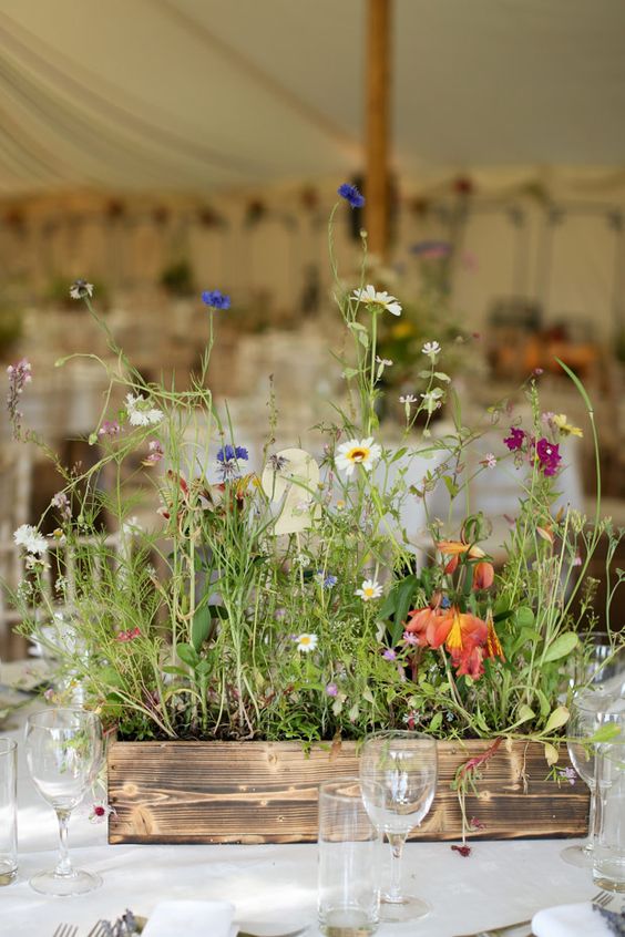 a wildflower summer wedding centerpiece that includes various blooms and grasses growing right in the crate is amazing for a boho wedding