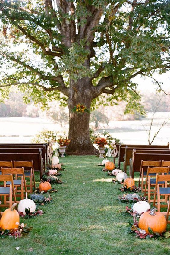 a lovely fall backyard wedding ceremony space with pumpkins, bold fall leaves, a tree with bold blooms and greenery is a pretty idea