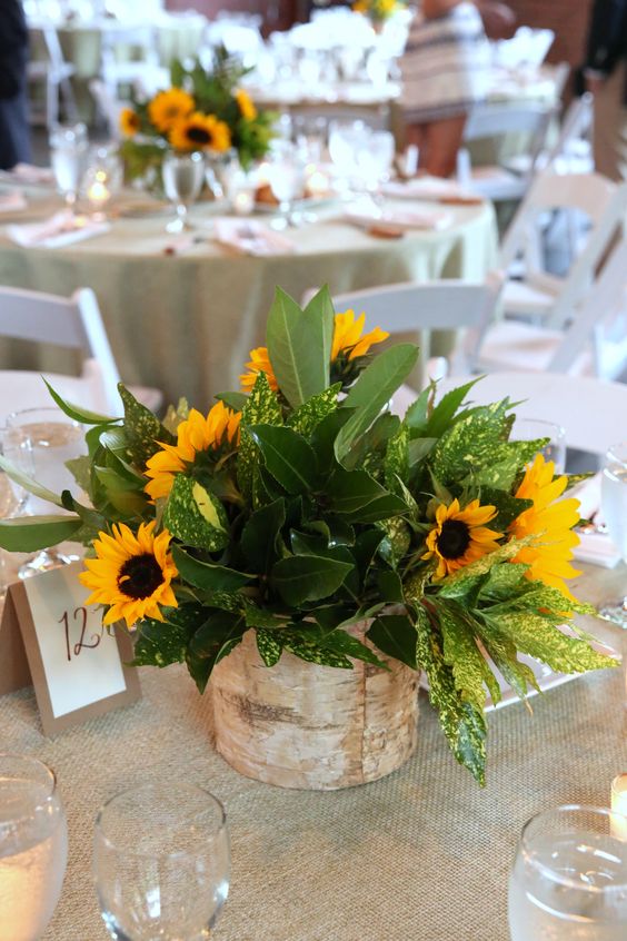 a rustic wedding centerpiece of various types of greenery and sunflowers wrapped with bark is a cool idea to rock