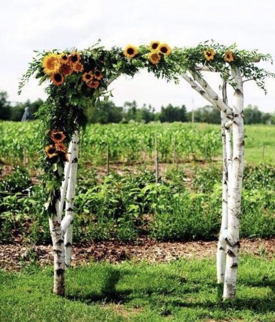 a very simple and cool birch branch wedding arch with greenery and sunflowers will be great not only for the fall but also for the summer