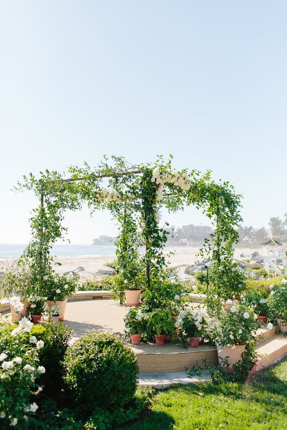 a greenery wedding chuppah with vines growing from the plants and covering the chuppah looks very nice
