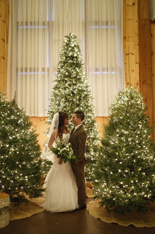 a cluster of lit up Christmas trees is an amazing wedding backdrop for a winter or Christmas wedding, what can be better than that