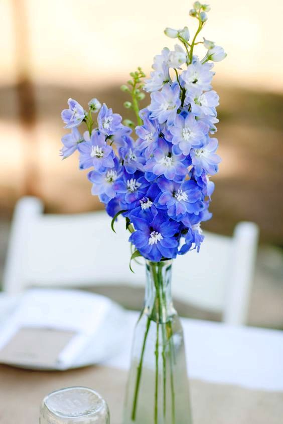 a beautiful and easy wedding centerpiece of a tall bottle with ombre periwinkle blooms is ideal for a spring or summer wedding