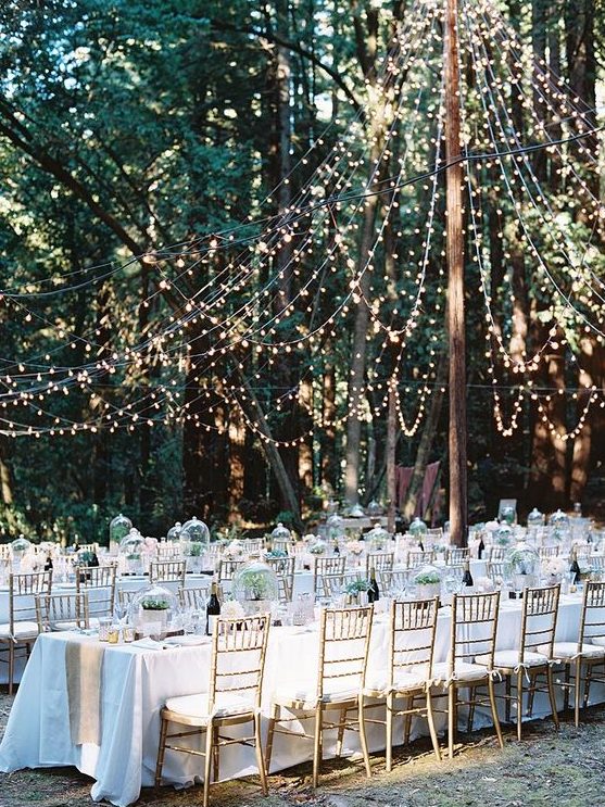 a refined and beautiful outdoor wedding reception with a light canopy over it that highlights it and makes it bolder