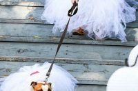 03 the pet wearing a tulle skirt is a super cute and lovely idea for the wedding