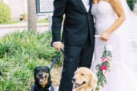 05 the female dog wearing a floral collar, and the male dog wearing a navy and white tux plus a black bow tie