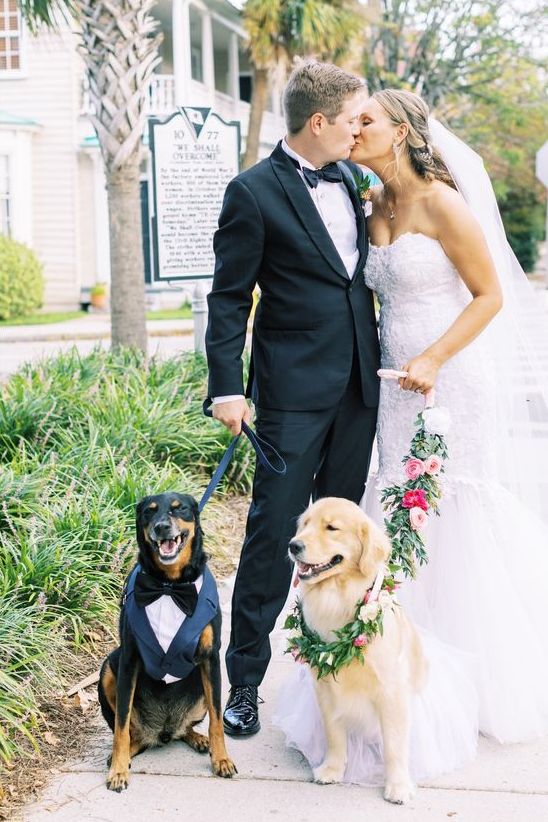the female dog wearing a floral collar, and the male dog wearing a navy and white tux plus a black bow tie
