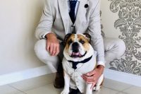 06 a bulldog wearing a white waistcoat and a black tie to echo with the groom’s look at the wedding