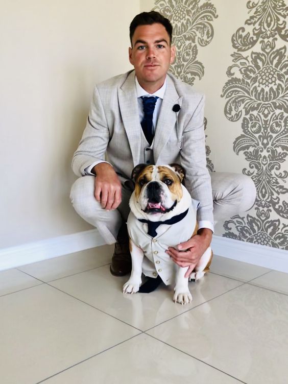 a bulldog wearing a white waistcoat and a black tie to echo with the groom's look at the wedding