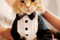 a black and white outfit is perfect for a cat on a wedding