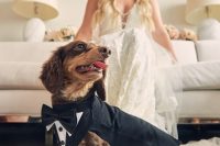 08 a classic black tux is always a good idea to style your dog for your wedding, it’s timeless