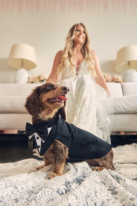 a classic black tux is always a good idea to style your dog for your wedding, it's timeless