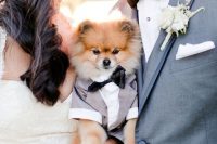 09 a doggie wearing a grey tux and a black bow tie for the wedding of its humans