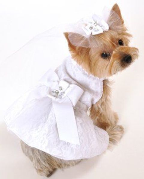 a lovely white lace dress with a big embellished ribbon bow on the back and a veil with fabric blooms for a cute look