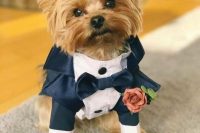 15 a navy god tuxedo with an elegant bow tie and a red rose boutonniere is a perfect outfit for the wedding