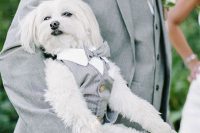 18 a white collar, a grey striped waistcoat and a grey bow tie are amazing to style your little and pretty dog for the wedding