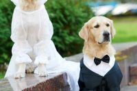 20 dogs wearing a black tuxedo and a tulle dress to match the couple’s looks and add a bit of fun to the wedding