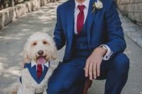 21 the dog copying the look of the groom – a blue suit, a white collar, a red tie for a more fun and playful look