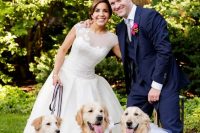 27 dogs wearing tulle and a fabric flower collar for a chic touch and to look super cute at the wedding