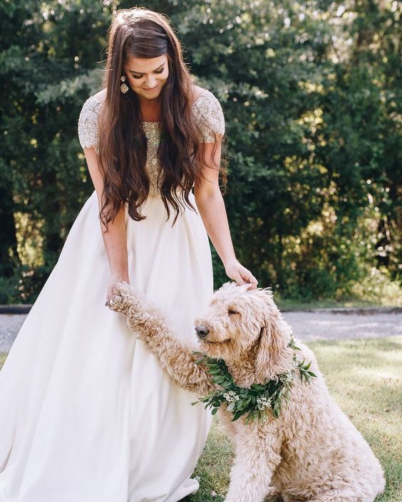 a dog wearing a greenery and white bloom collar looks beautiful and inspiring and will fit the style of the wedding