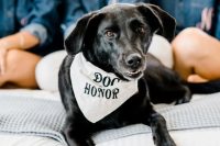 34 a bandana for the dog of honor is a cool idea to dress up your pet without much fuss