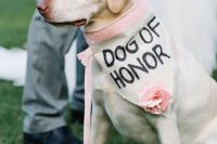 35 an elegant bandana with pink ribbon and a pink bloom is a chic pet accessory idea that you can DIY