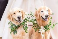 37 greenery and wax flower collars with ribbons look delicate and beautiful and will help your dogs look fabulous