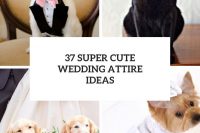 37 super cute pet wedding attire ideas cover