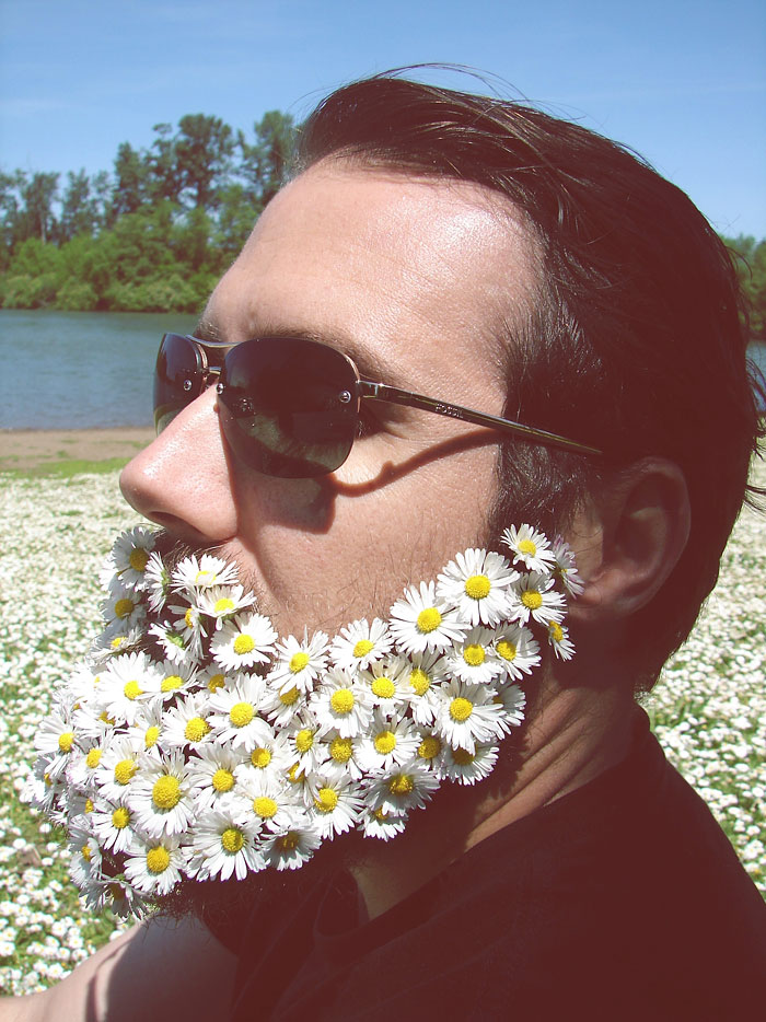 a beard fully covered with chamomiles will give a very fresh and bright summer-inspired look