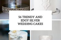56 Trendy And Edgy Silver Wedding Cakes cover